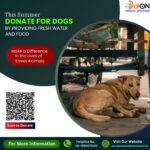 Donate For Dogs