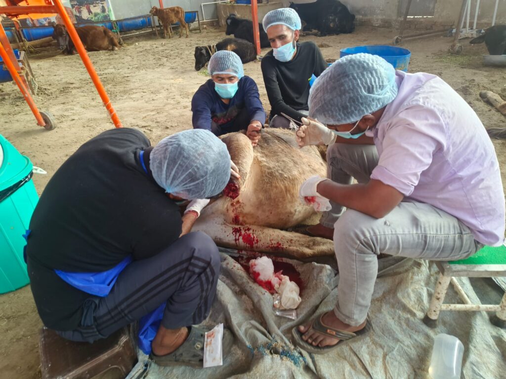 WhatsApp-Image-2024-11-26-at-11.06.17