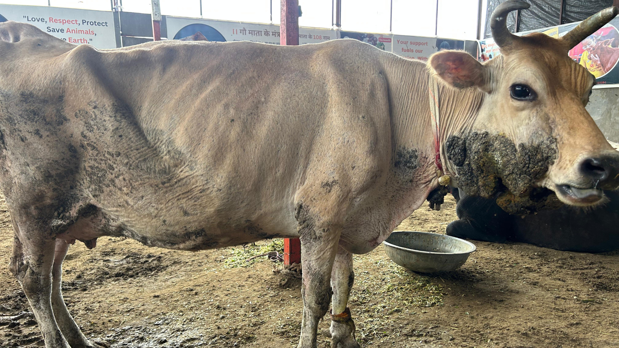 A compassionate heart, a helping hand Together, we can save Shyama’s life
