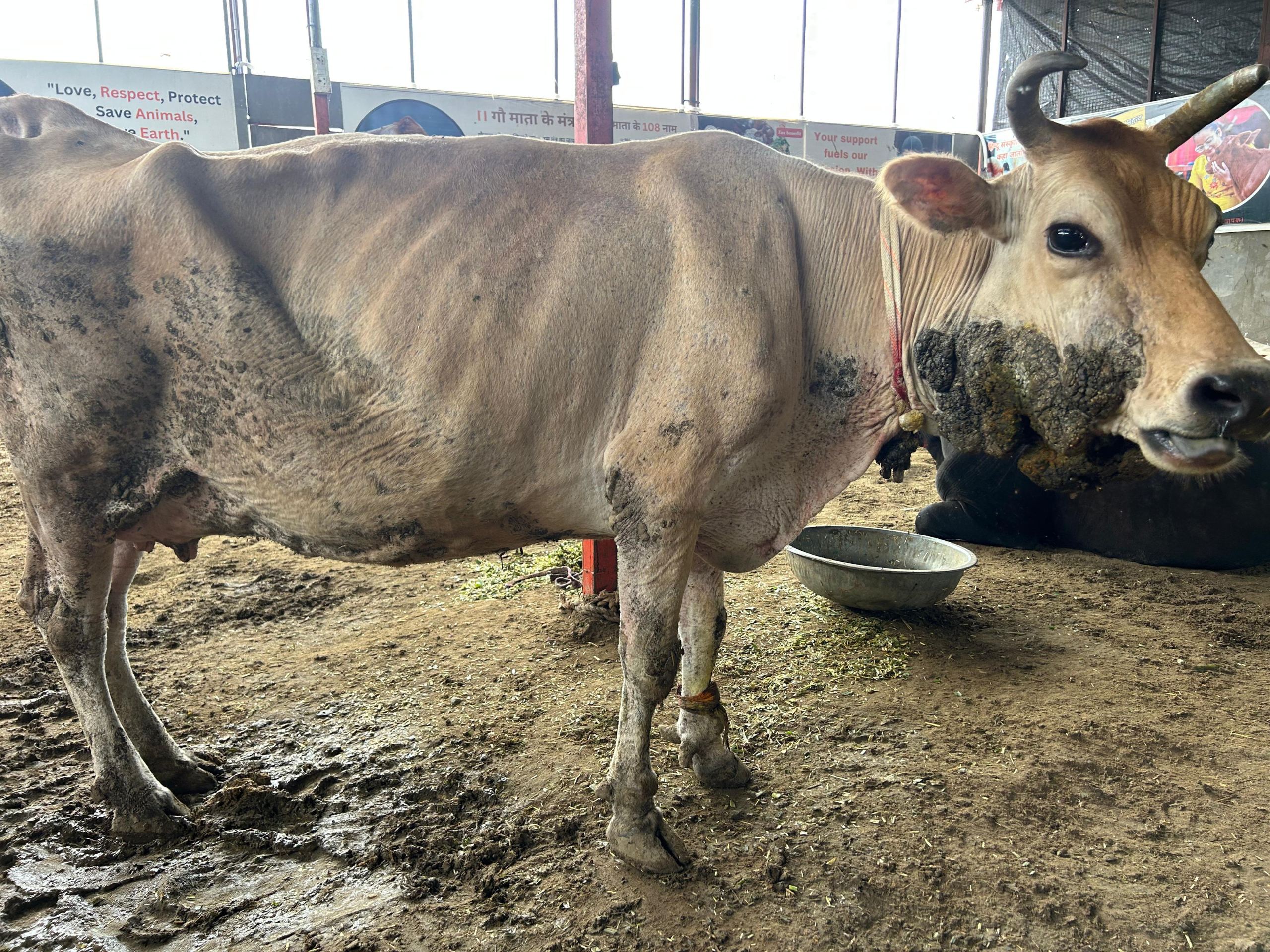 A compassionate heart, a helping hand Together, we can save Shyama's life