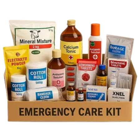 Emergency Care Kit