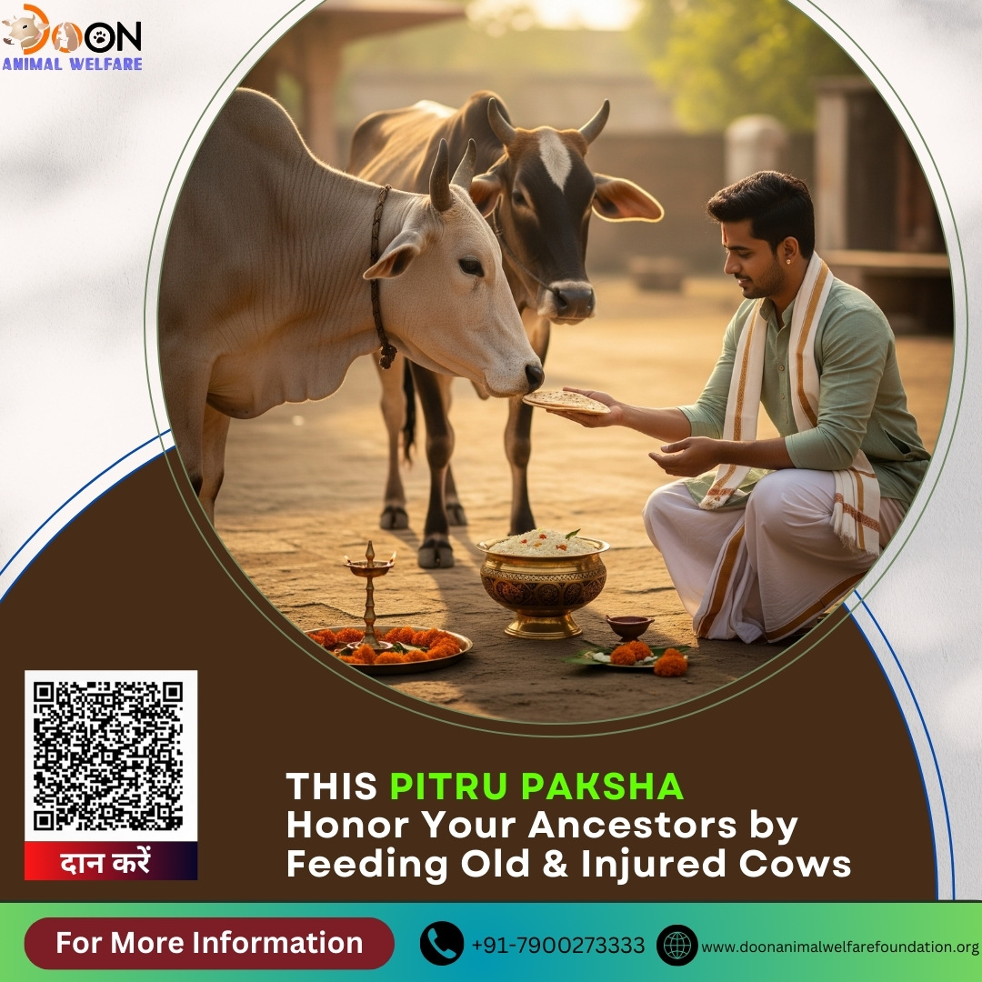 Pitru Paksha Daan