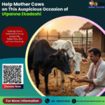 Donate on Utpanna Ekadashi