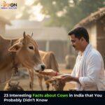 Facts of Cows