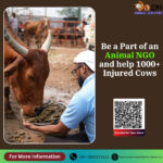 How To Be a Part of NGO