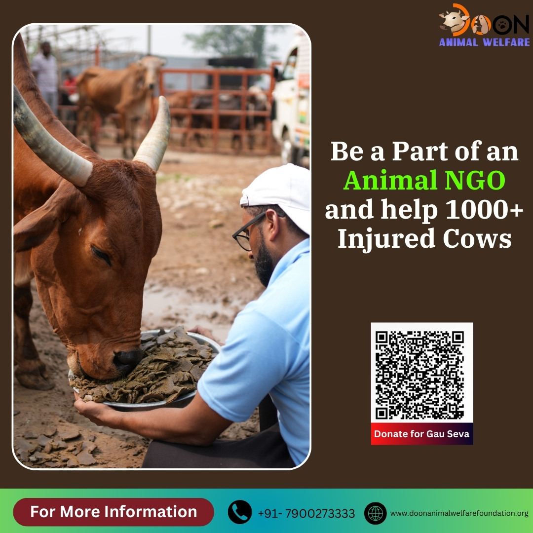 How To Be a Part of NGO