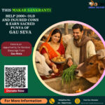 donate on Makar Sankranti at Doon Animal Welfare Gaushala